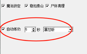 自动练功功能截图